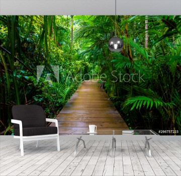 Picture of Wooden pathway in deep green mangrove forest